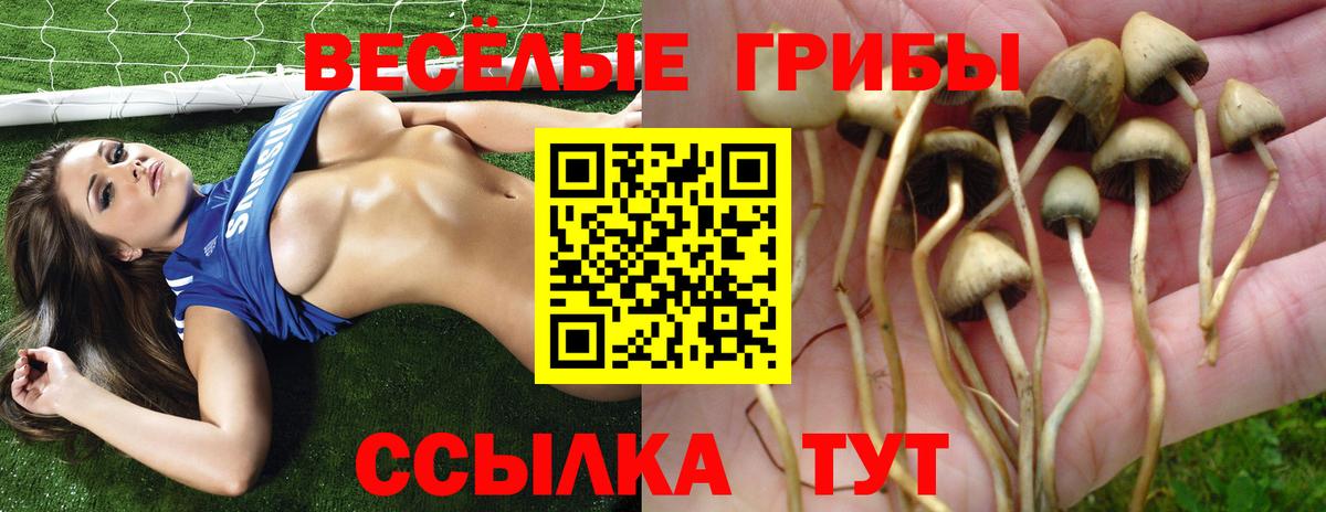 Галлюциногенные грибы Psilocybine cubensis  Вход с VPN  Кумертау  Галлюциногенные грибы Cubensis 